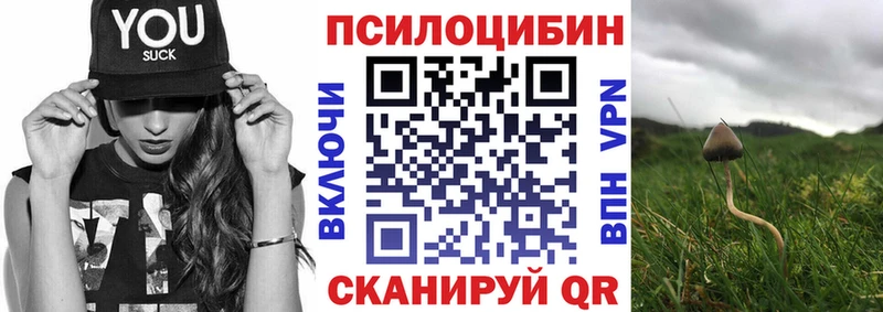 Псилоцибиновые грибы прущие грибы  мега tor  Белореченск 