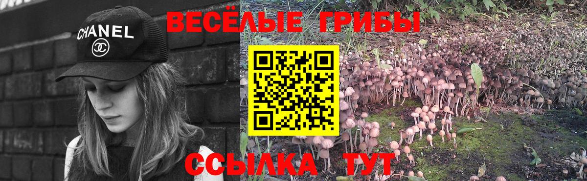 где купить наркоту  Белореченск  Псилоцибиновые грибы ЛСД  Псилоцибиновые грибы MAGIC MUSHROOMS 