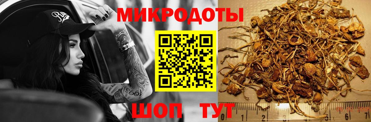 Псилоцибиновые грибы Cubensis  где купить наркоту  Белореченск  Вход с VPN 