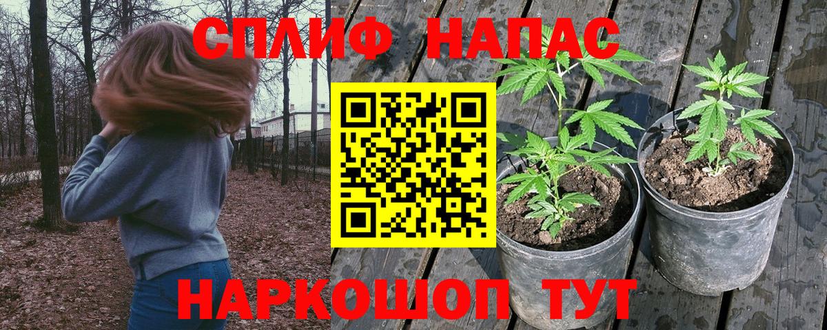 Бошки марихуана VHQ  Вход с VPN  Бошки марихуана семена  Белореченск  Каннабис конопля  Канабис White Widow 